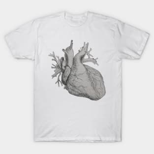 Pen and Ink and Anatomical Heart Illustration T-Shirt